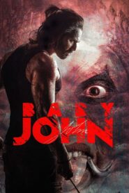 Baby John 2024 HD 1080p Hindi
