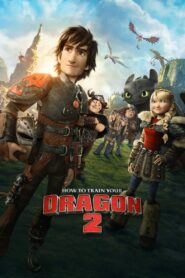 How to Train Your Dragon 2 (2014) MultiAudio (Tam+Tel+Hin+Eng) HD