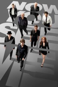 Now You See Me (2013) Dual Audio (Hin-Eng) HD
